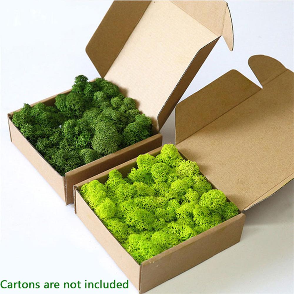 Sphagnum Moss Dry - Artificial Plant Eternal Life Moss Garden