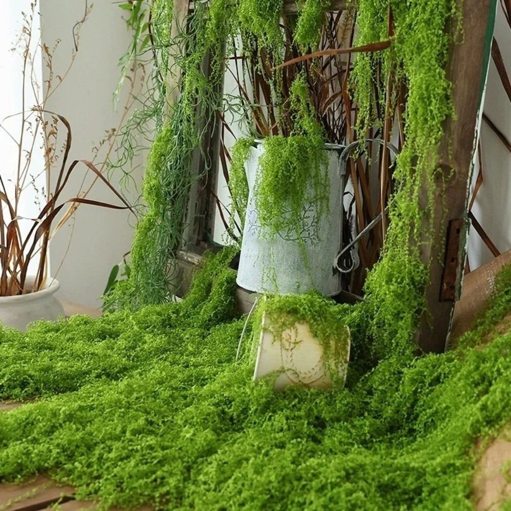 Sphagnum Moss Dry - DIY Artificial Grass Rug Durable No