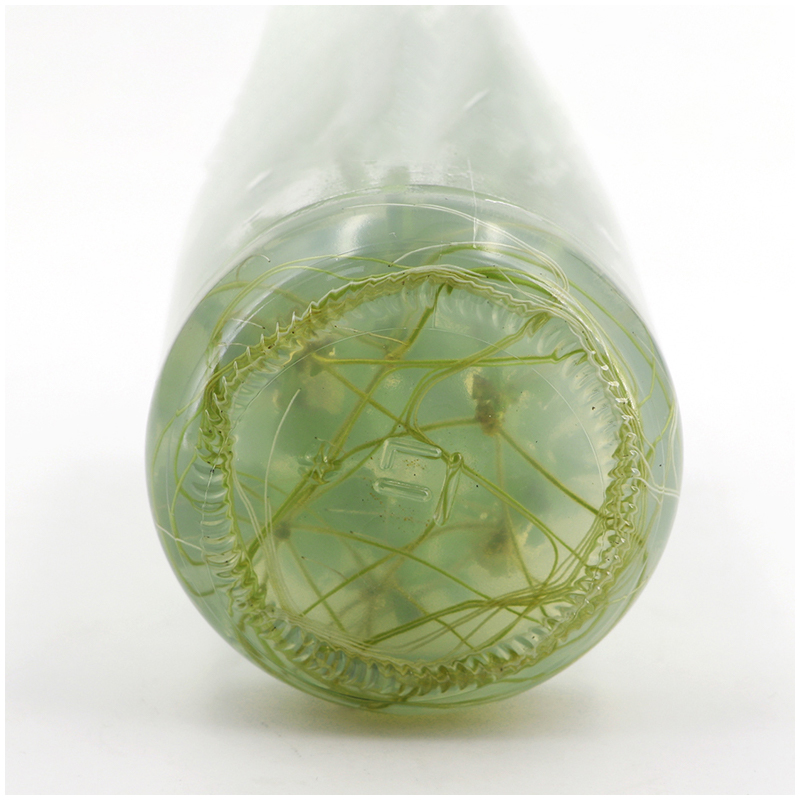 MS Medium Without Agar Or Sucr - Agar Tissue Culture 评论和价格