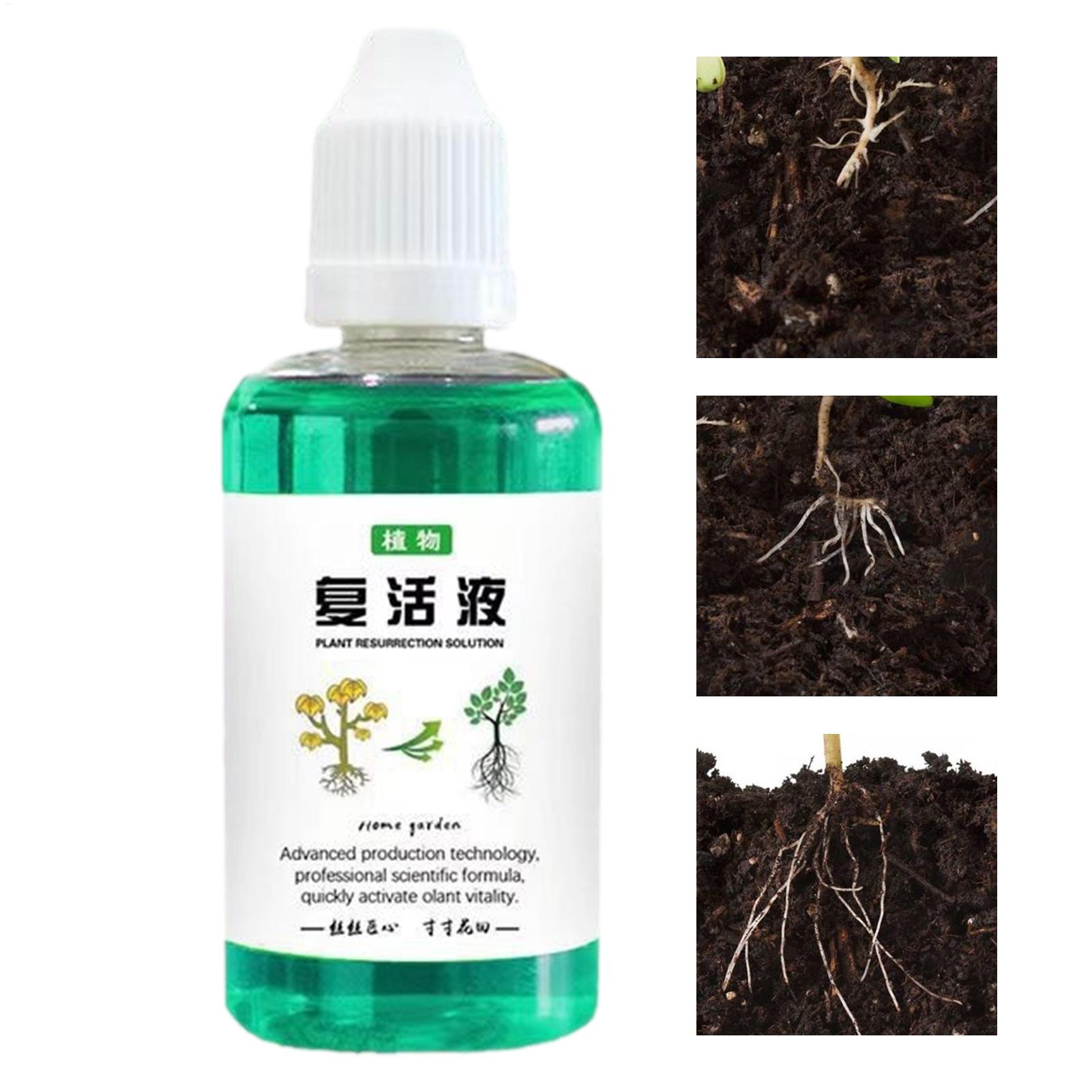 50ml Root Stimulator Plant Res - Root Stimulator Liquid 评论和价格