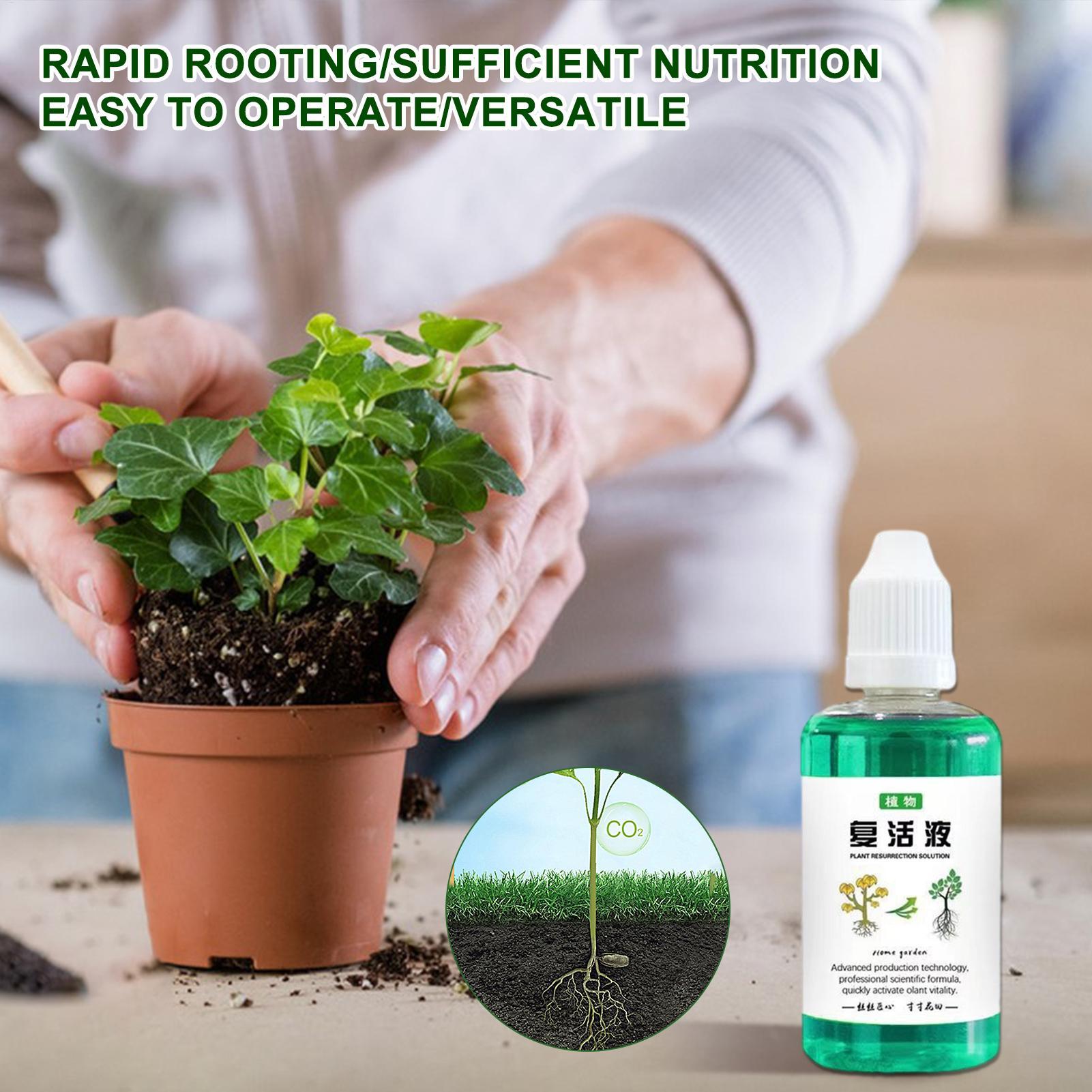50ml Root Stimulator Plant Res - Root Stimulator Liquid 评论和价格