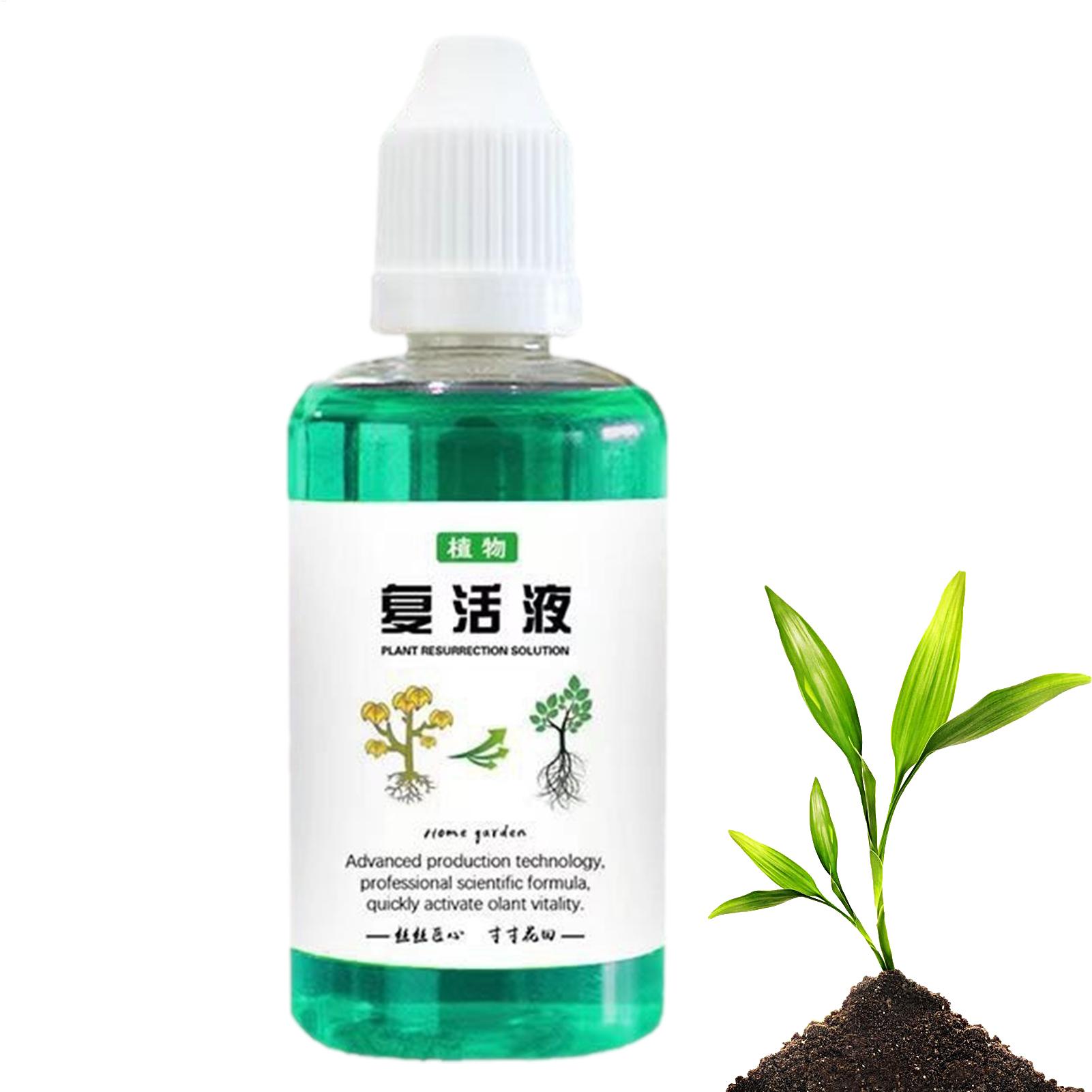 50ml Root Stimulator Plant Res - Root Stimulator Liquid 评论和价格