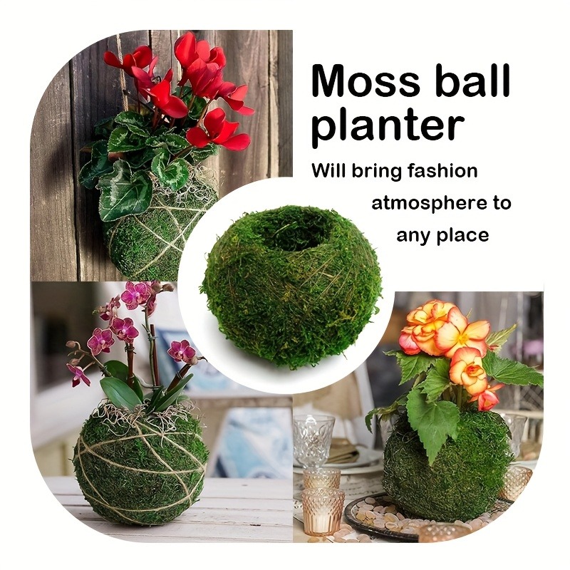 Artificial Moss Ball Planter,  - Sphagnum Moss Dry 评论和价格