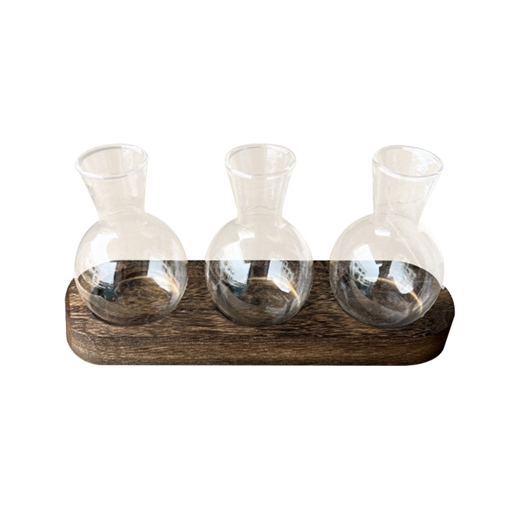 75STO-Hydroponic Plant Vases V - Propagation Station Vase 评论和价格
