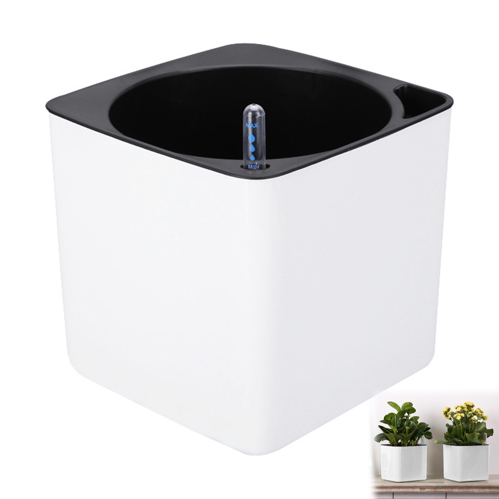 Automatic Self Watering Flower - Self Watering Insert 评论和价格