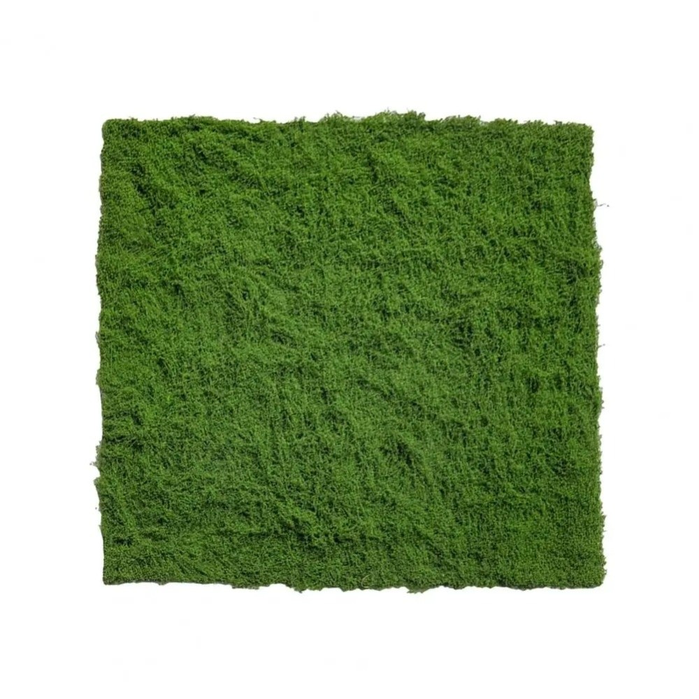 DIY Artificial Grass Rug Durab - Sphagnum Moss Dry 评论和价格
