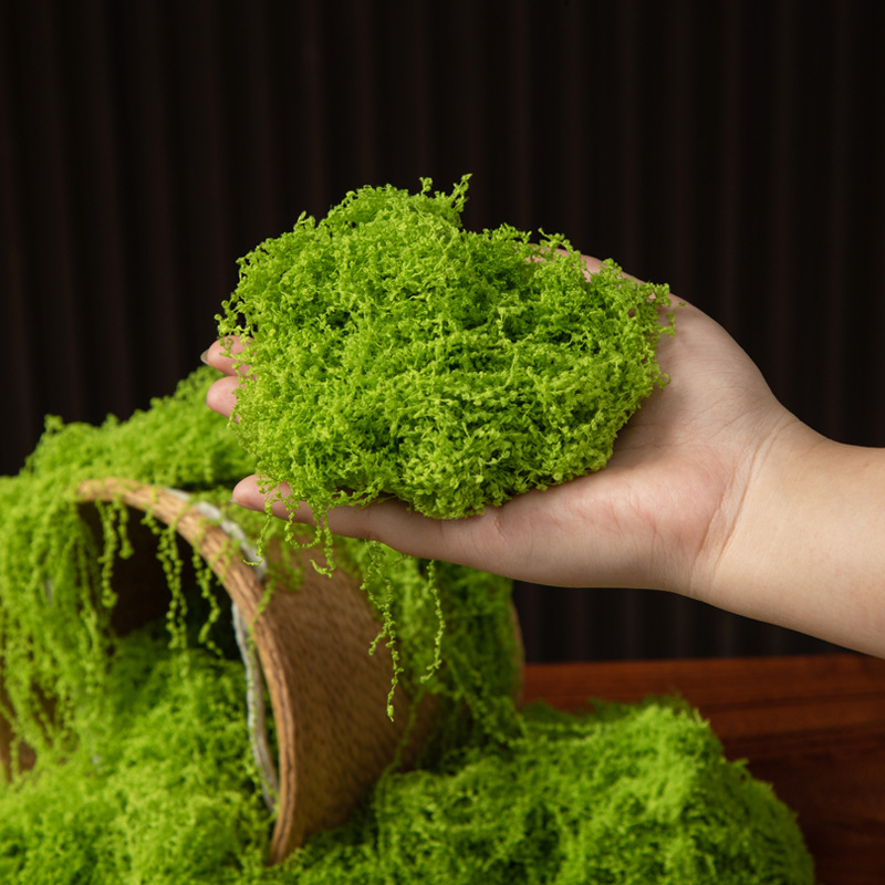 200g Eternal Life Moss DIY Cra - Sphagnum Moss Dry 评论和价格