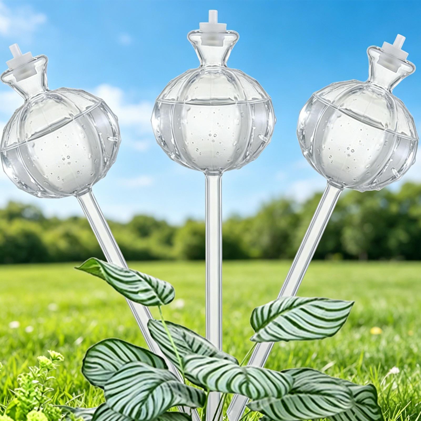 Self-Watering Globes 3 Pieces  - Self Watering Insert 评论和价格