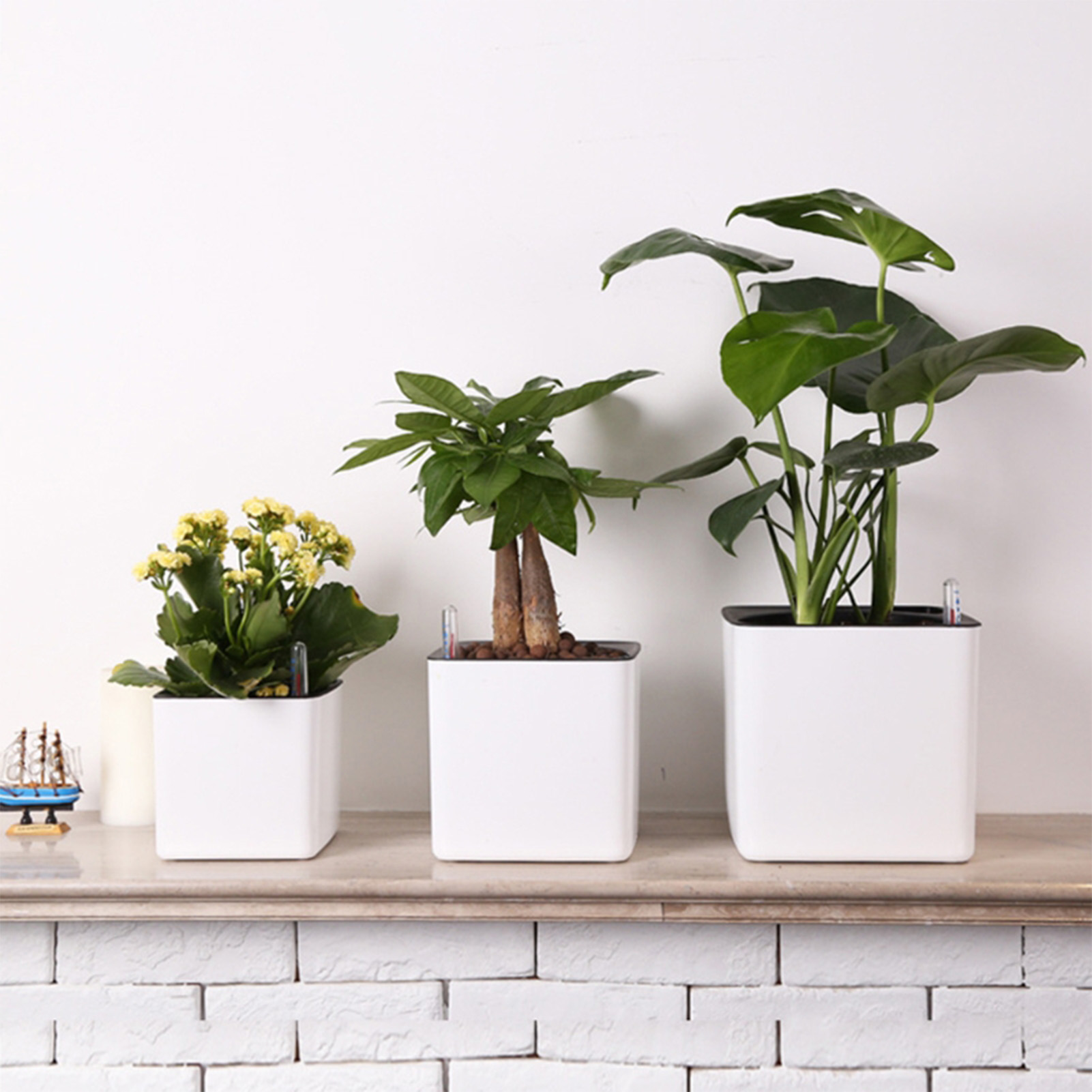 3 size Lazy flowerpot Green Pl - Self Watering Insert 评论和价格
