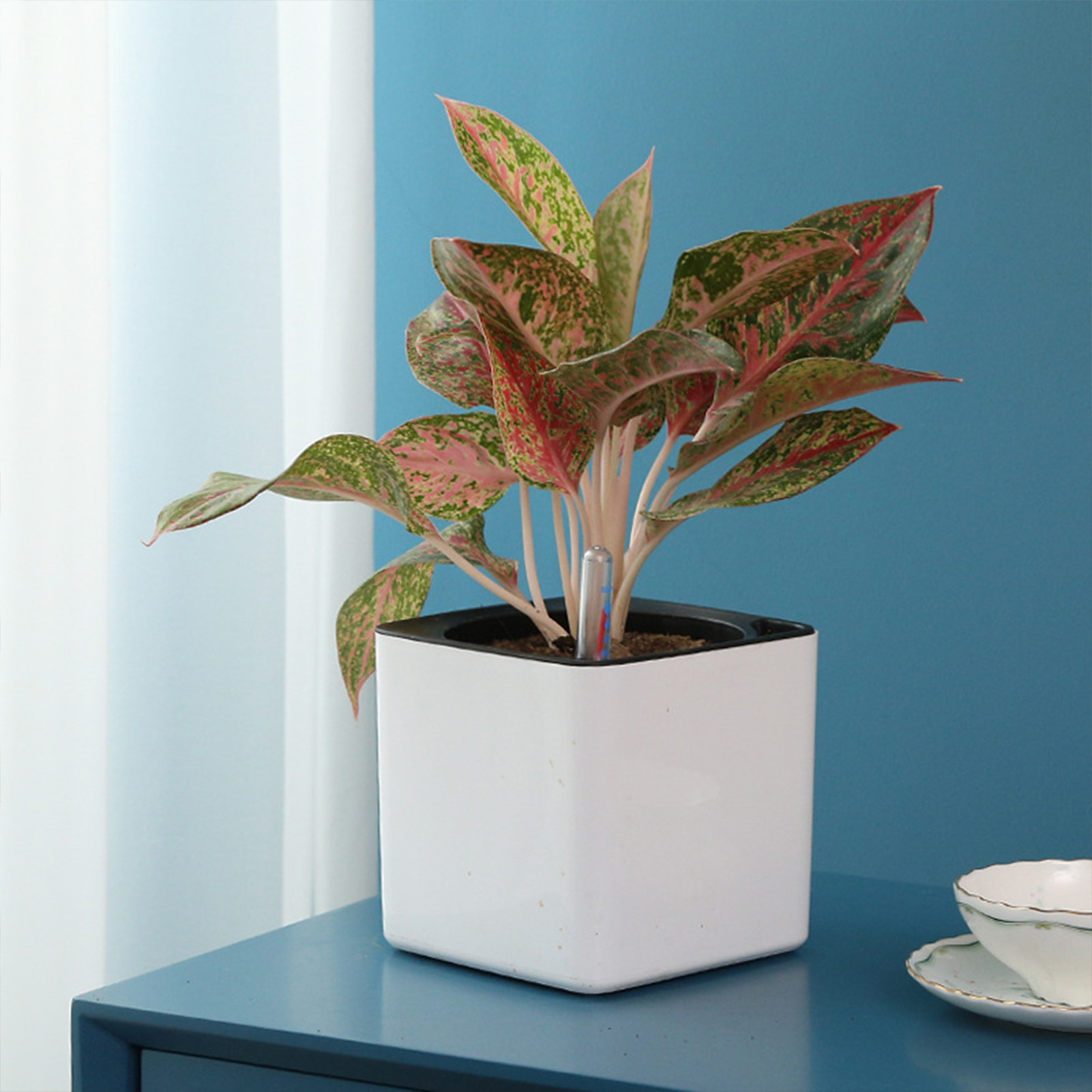 3 size Lazy flowerpot Green Pl - Self Watering Insert 评论和价格