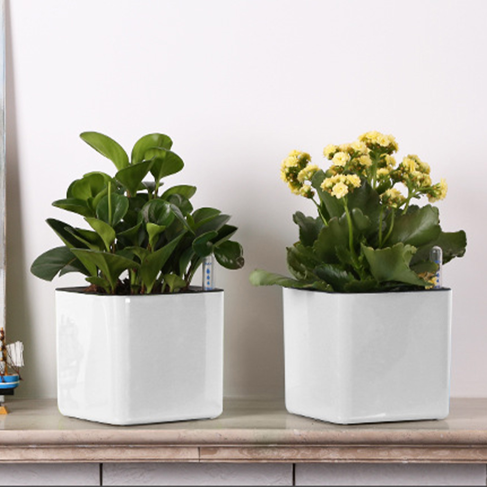 3 size Lazy flowerpot Green Pl - Self Watering Insert 评论和价格