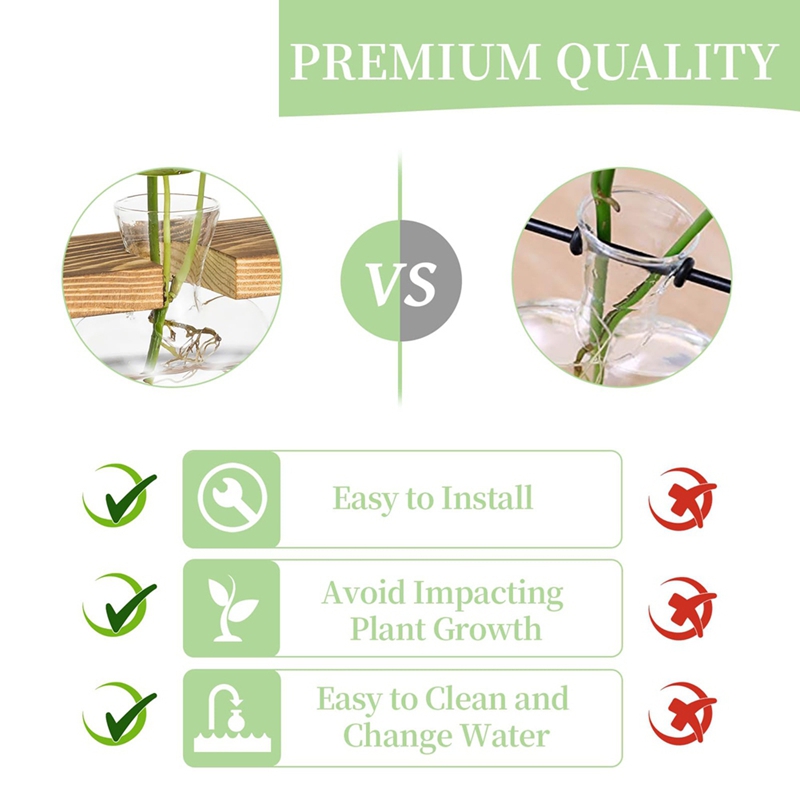 Glass Propagation Station for  - Propagation Station Vase 评论和价格