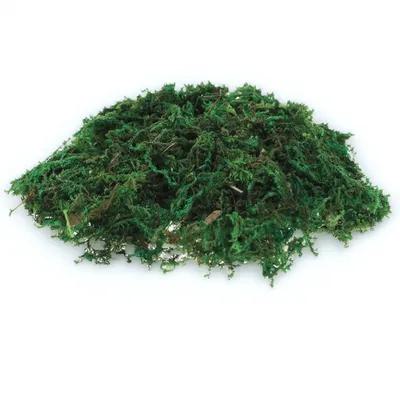 1Pack Natural-Looking Fake Mos - Sphagnum Moss Dry 评论和价格