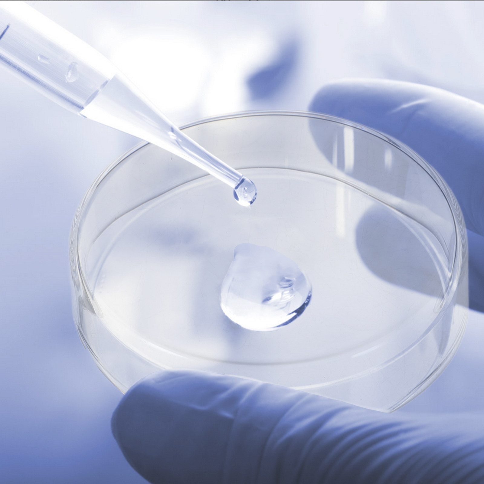 1Set Thickened Glass Petri Dis - Agar Tissue Culture 评论和价格