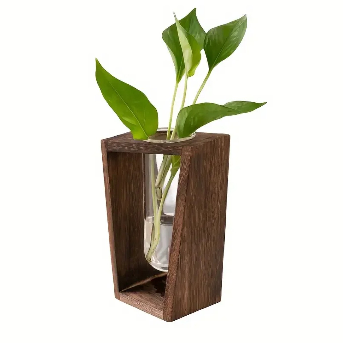 Plant Propagation Station Hydr - Propagation Station Vase 评论和价格
