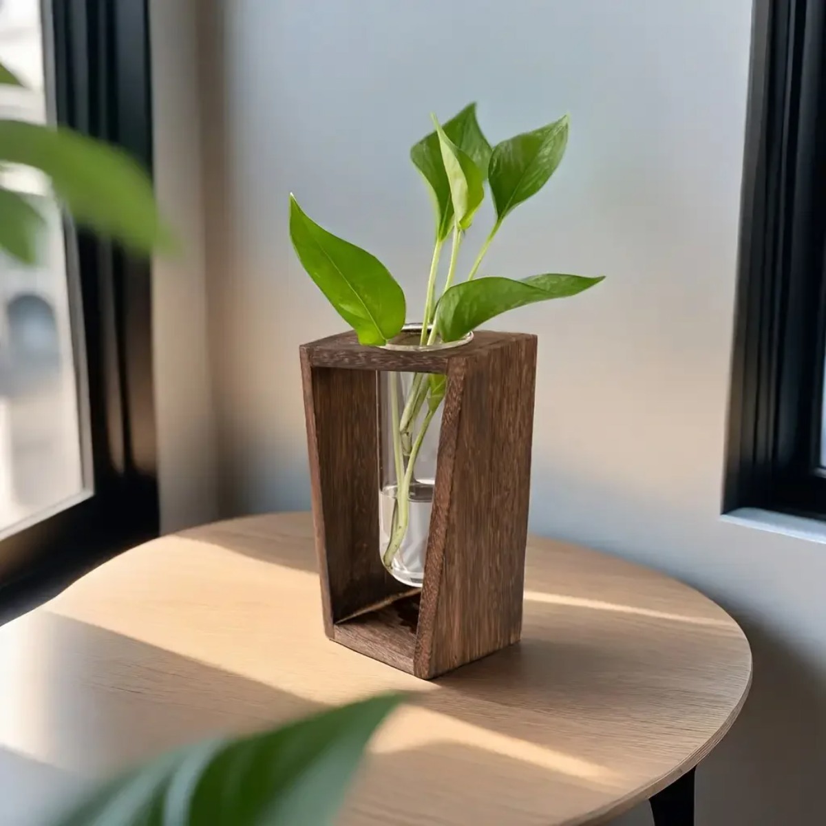 Plant Propagation Station Hydr - Propagation Station Vase 评论和价格