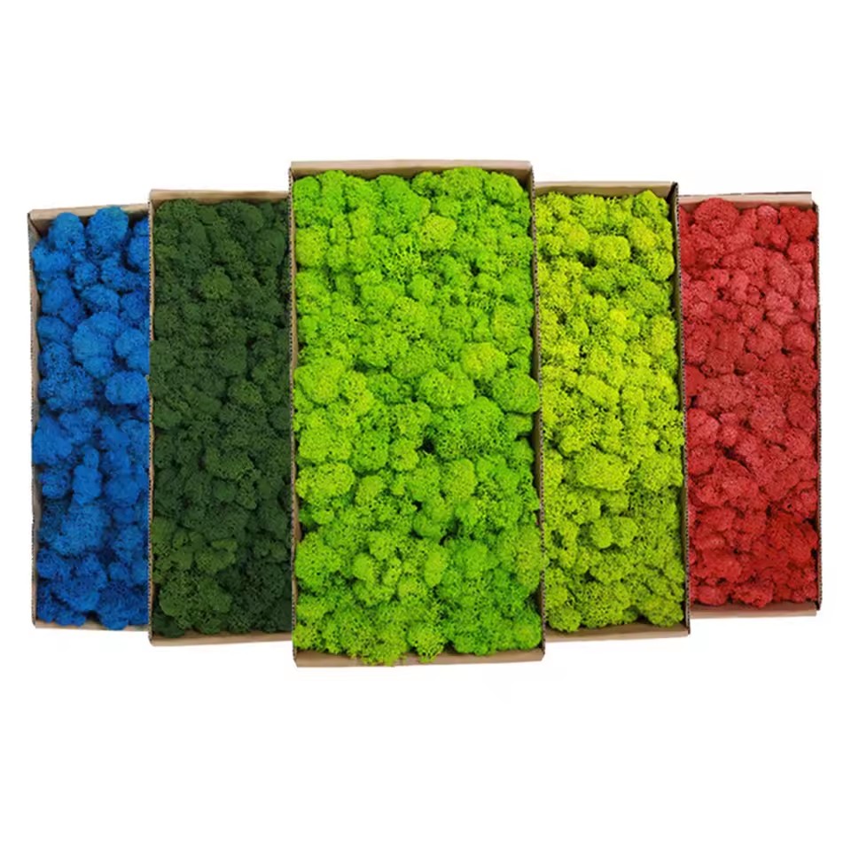 20-200g Artificial Green Plant - Sphagnum Moss Dry 评论和价格