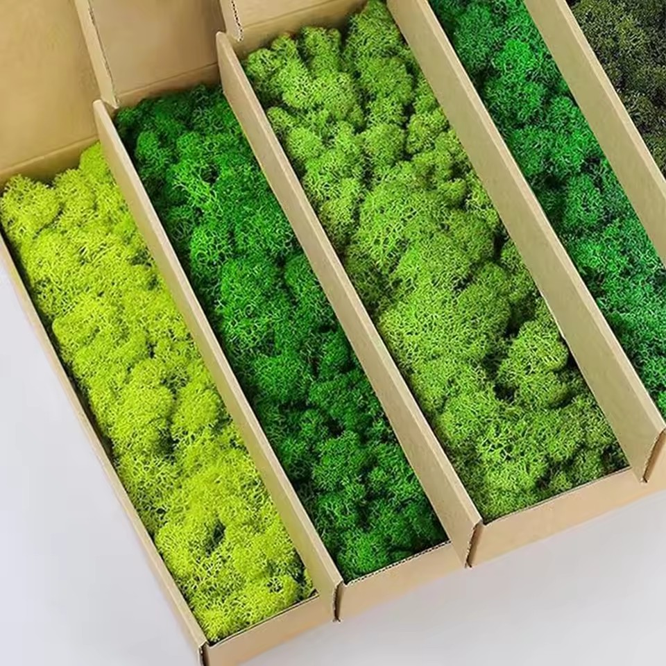 20-200g Artificial Green Plant - Sphagnum Moss Dry 评论和价格