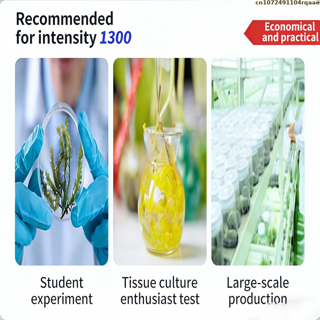 Premium Plant Tissue Culture A - Agar Tissue Culture 评论和价格