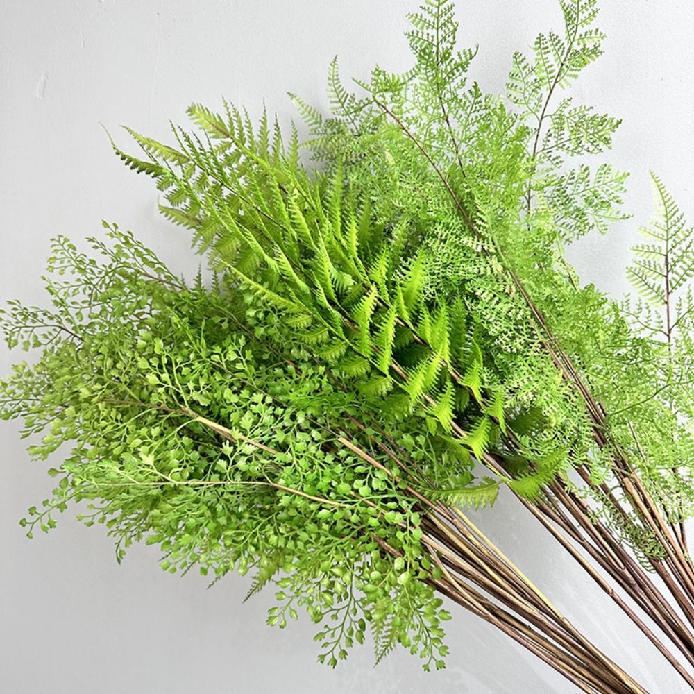 Realistic Artificial Fern Plan - Sphagnum Moss Dry 评论和价格