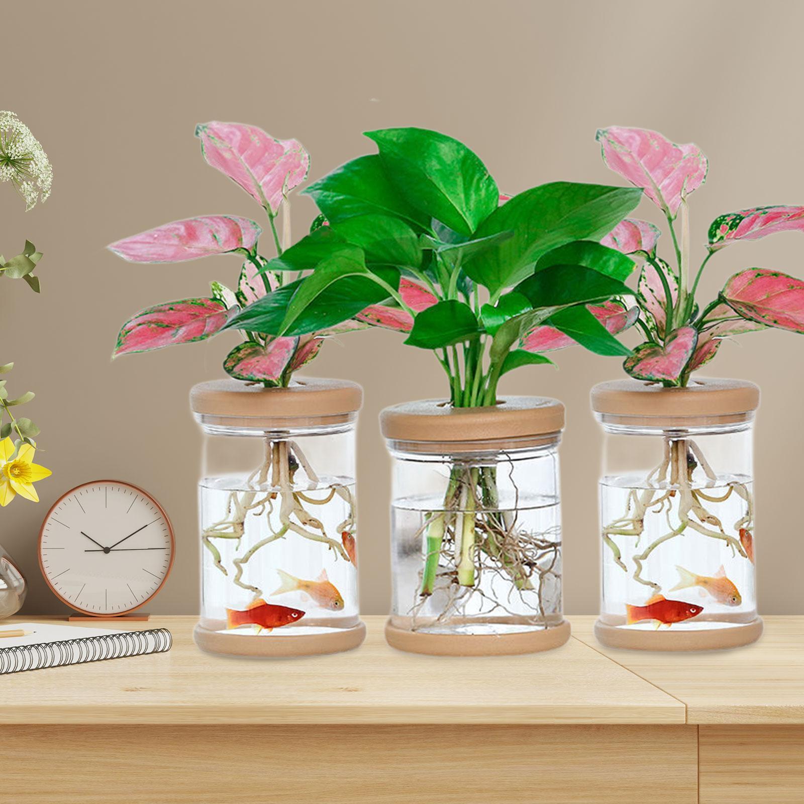 3Pcs Hydroponics Flower Vases  - Propagation Station Vase 评论和价格