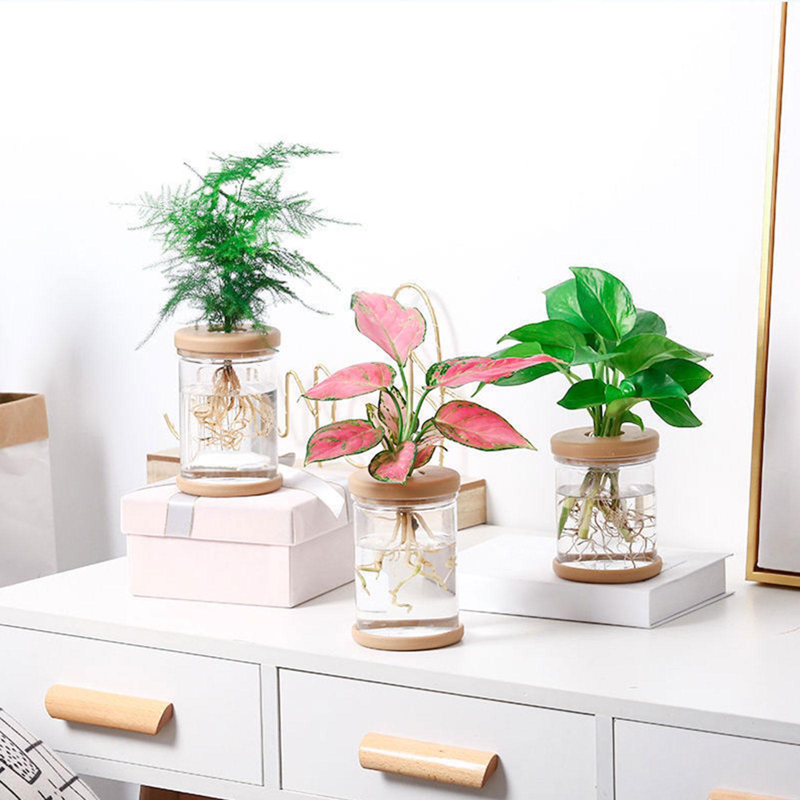 3Pcs Hydroponics Flower Vases  - Propagation Station Vase 评论和价格