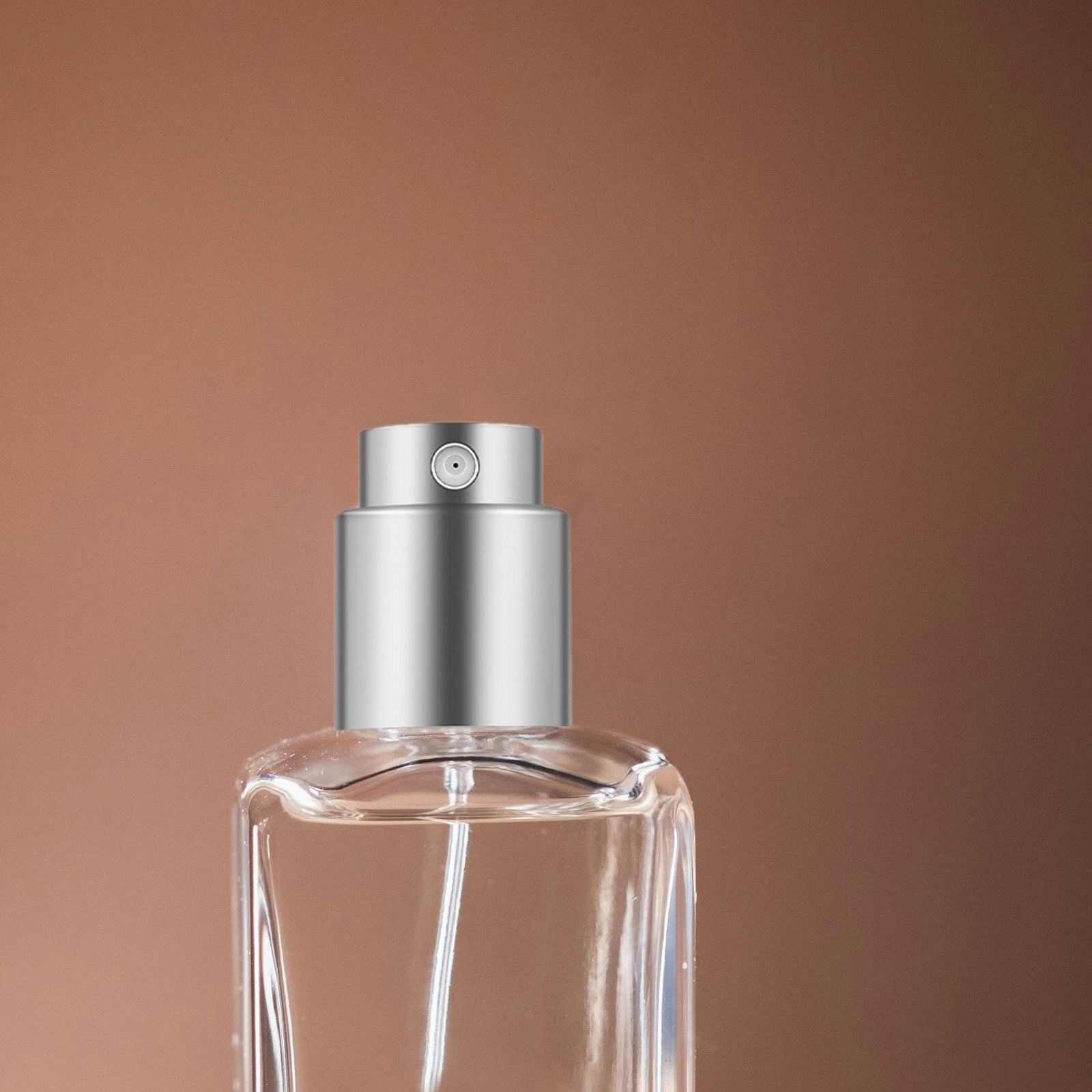12Sets Perfume Spray Nozzle Si - Misting Bottle Fine 评论和价格