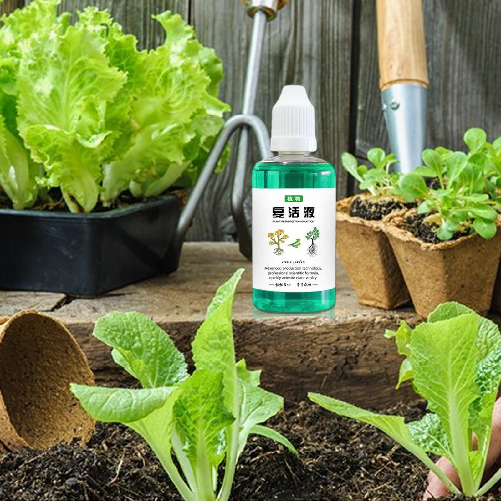 Root Stimulator For Plants 50m - Root Stimulator Liquid 评论和价格