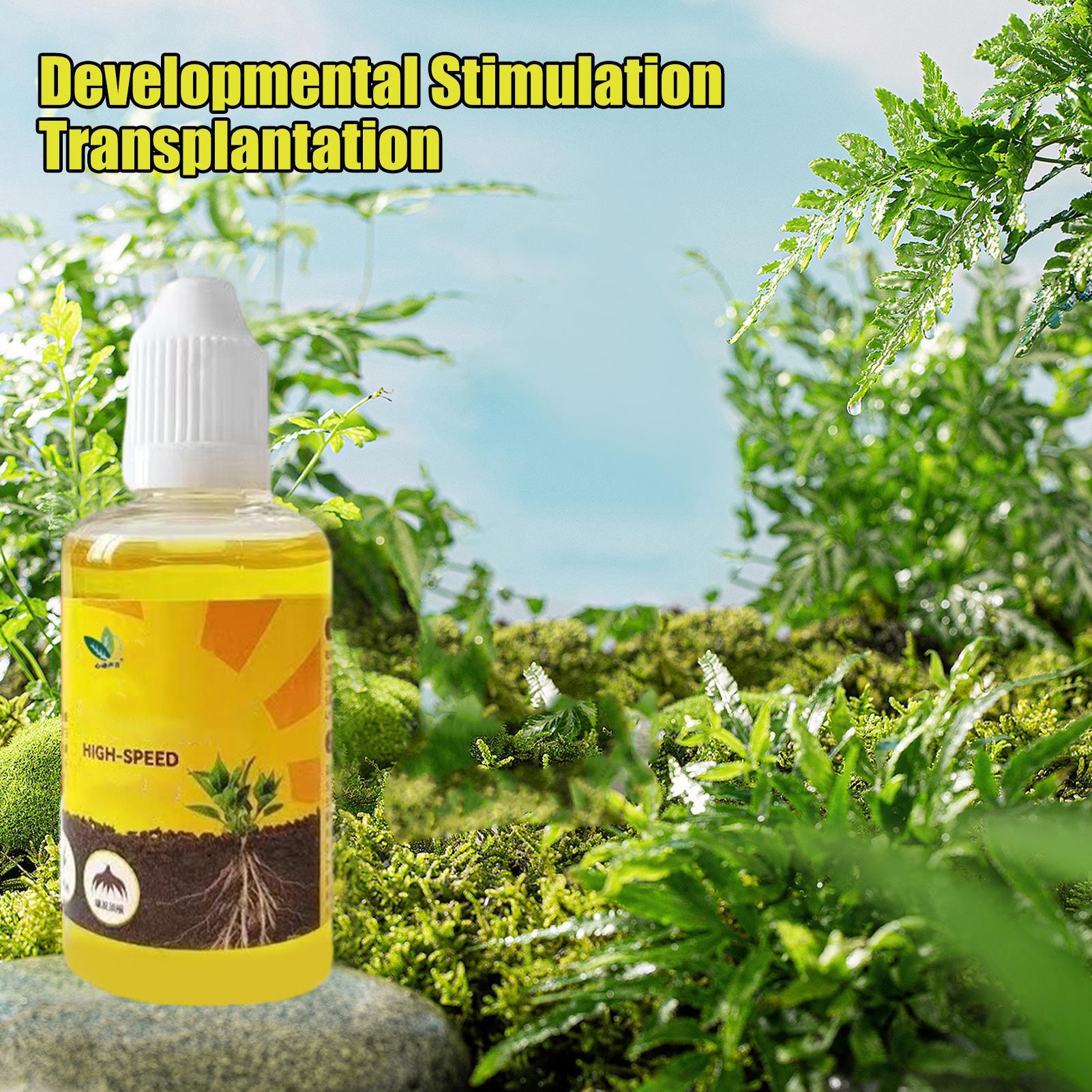50ml Plant Rooting Stimulator  - Root Stimulator Liquid 评论和价格