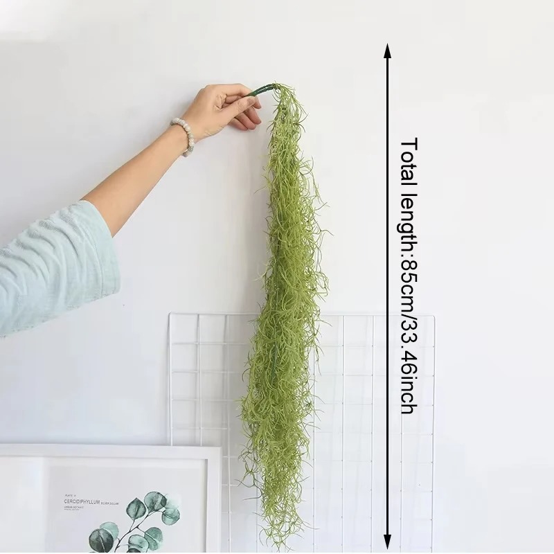 1/3/5pcs Air Grass Green Plant - Sphagnum Moss Dry 评论和价格