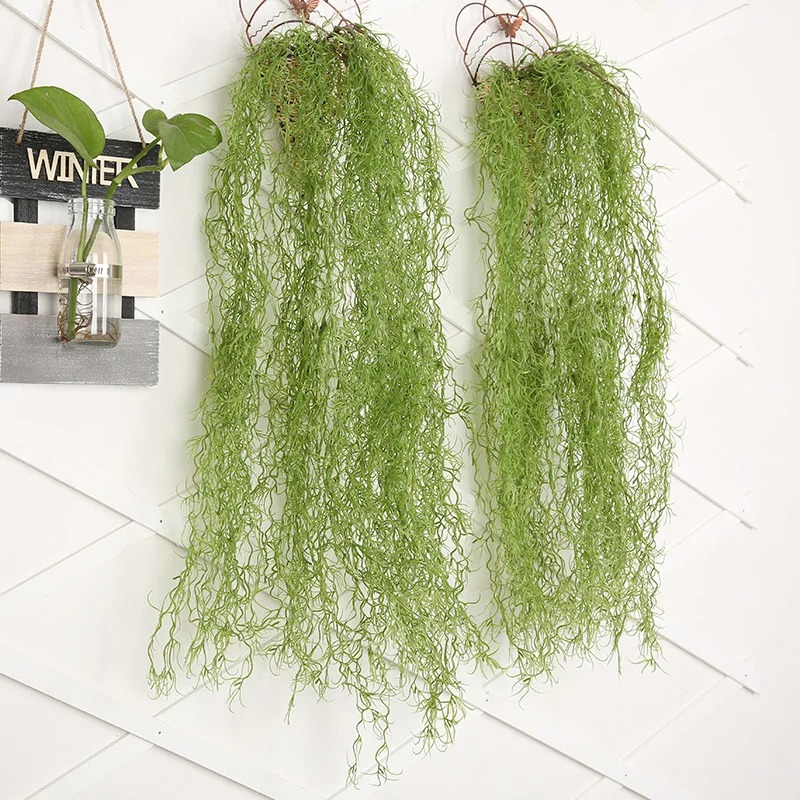 1/3/5pcs Air Grass Green Plant - Sphagnum Moss Dry 评论和价格