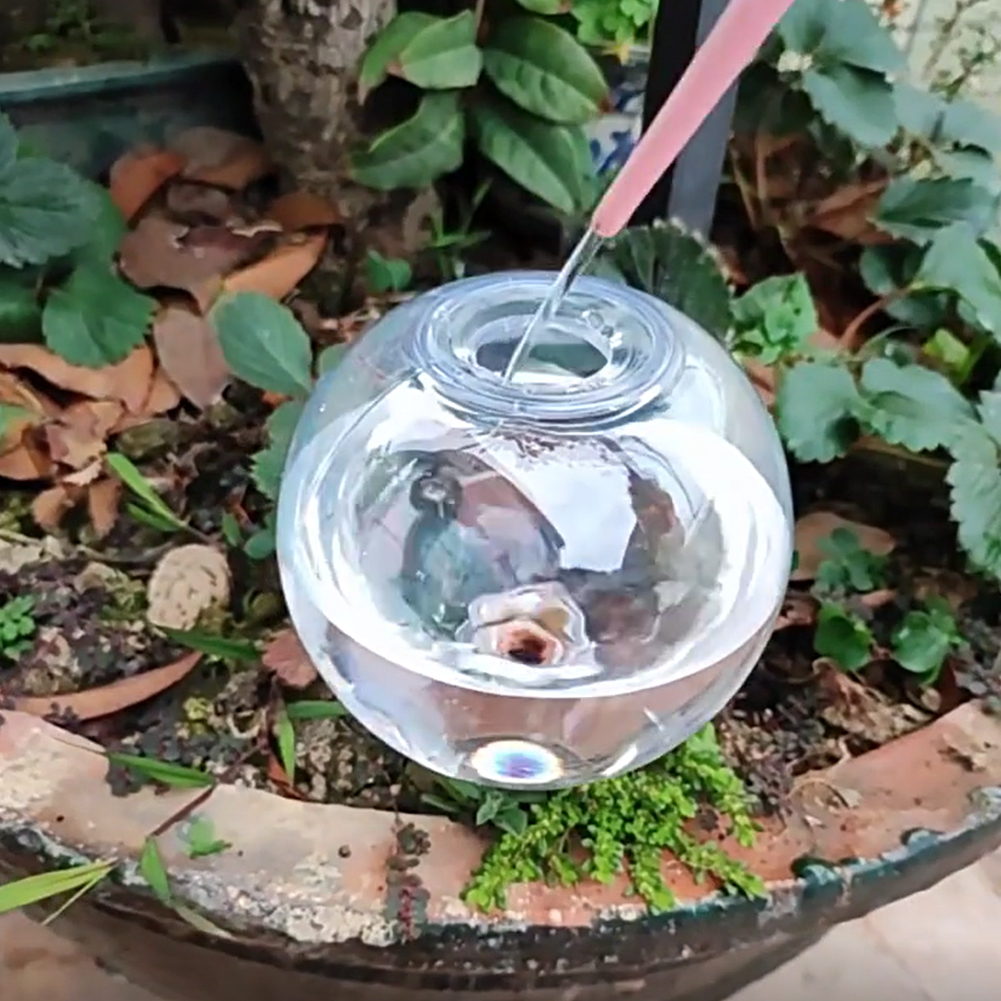 500ML Self Watering Globes Dri - Self Watering Insert 评论和价格