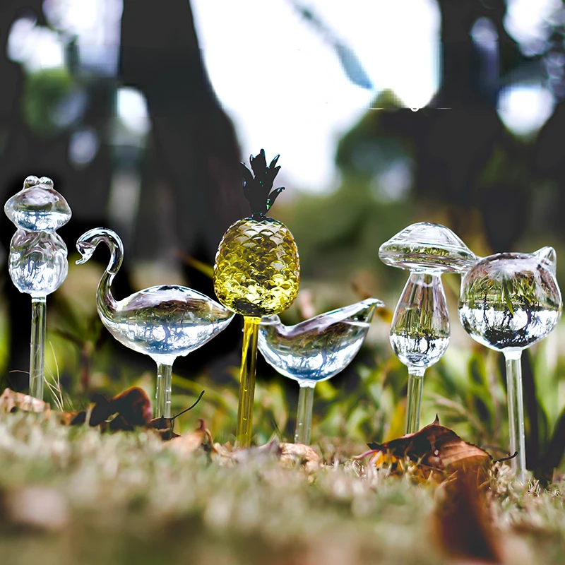 Creative Glass Plant Flowers W - Self Watering Insert 评论和价格