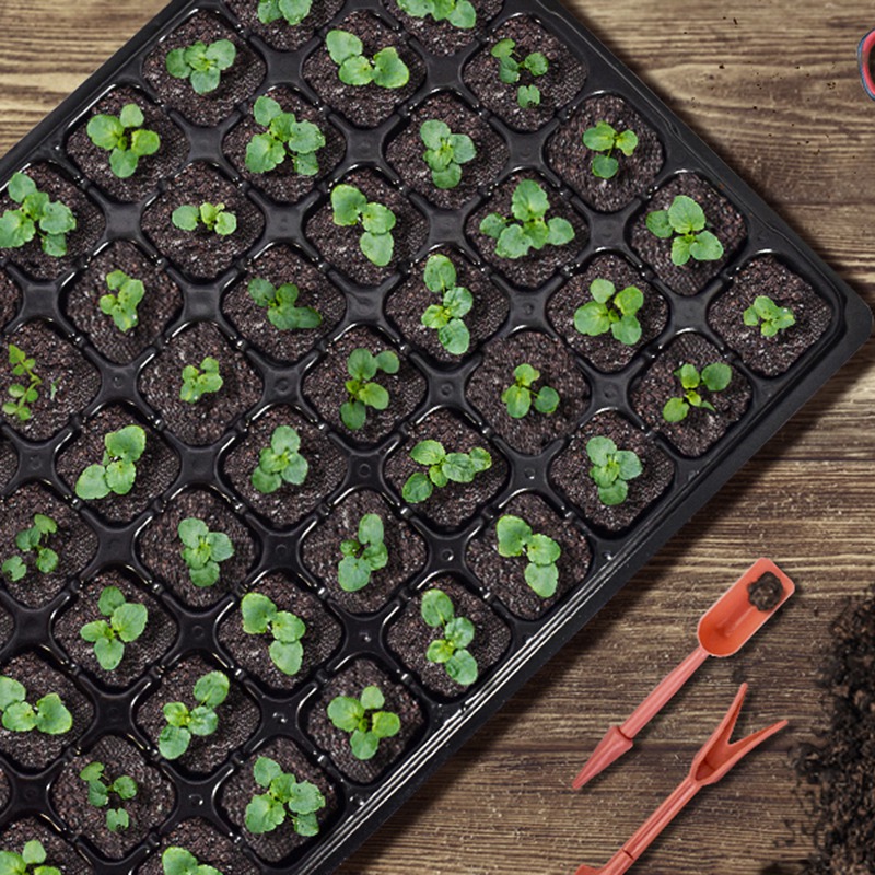 ABGH-10 Pack Seed Starter Tray - Propagation Tray 72 评论和价格