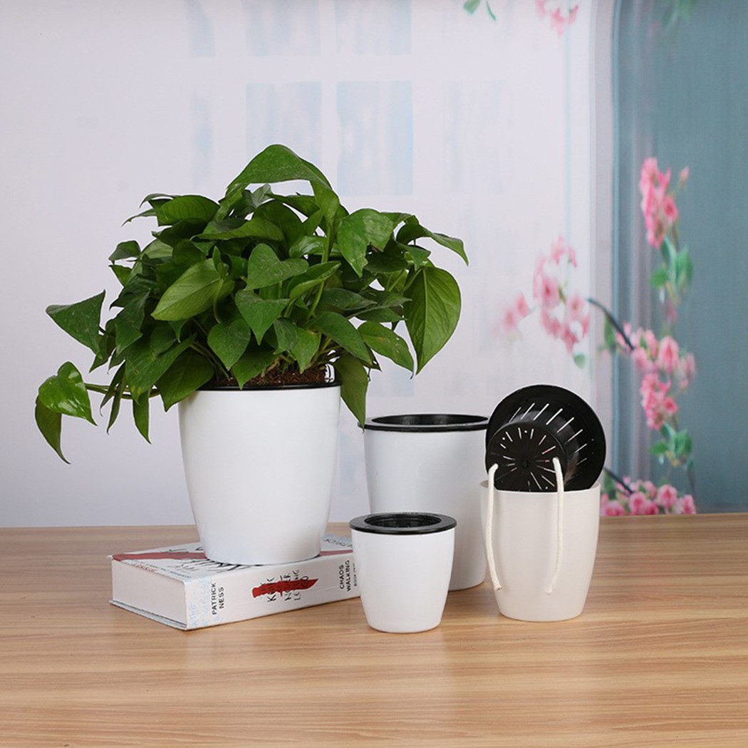 Automatic Watering Flower Plan - Self Watering Insert 评论和价格