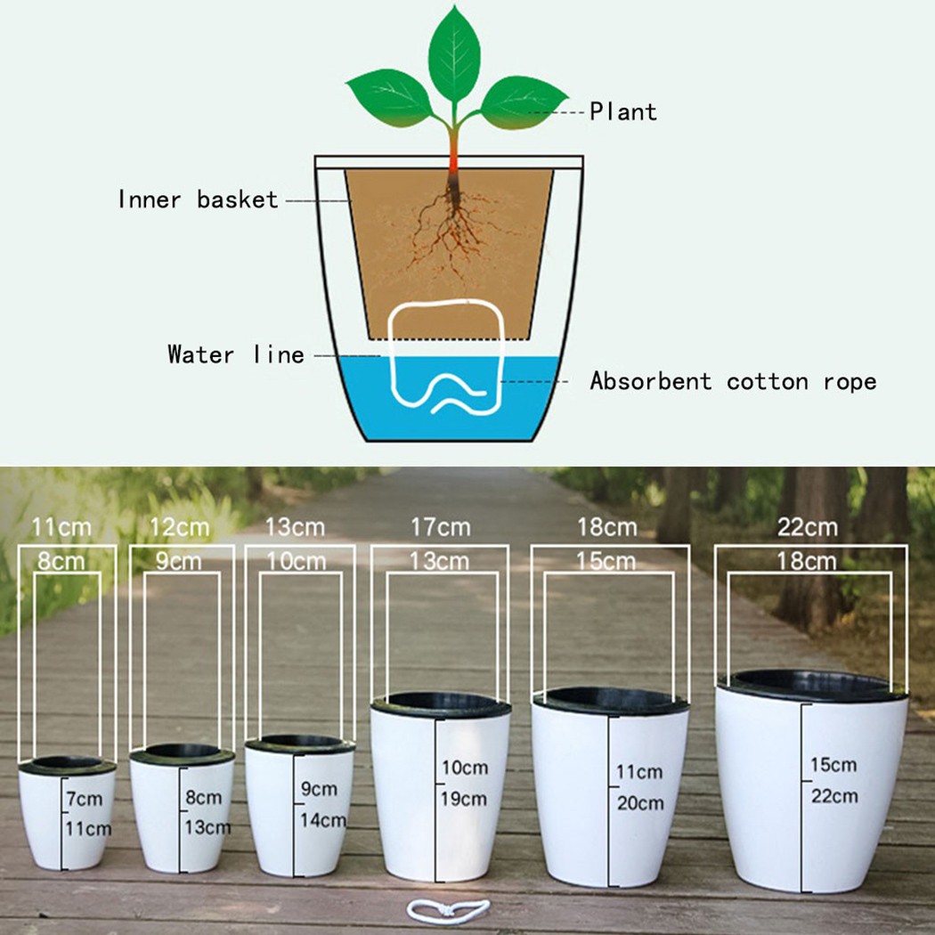 Automatic Watering Flower Plan - Self Watering Insert 评论和价格