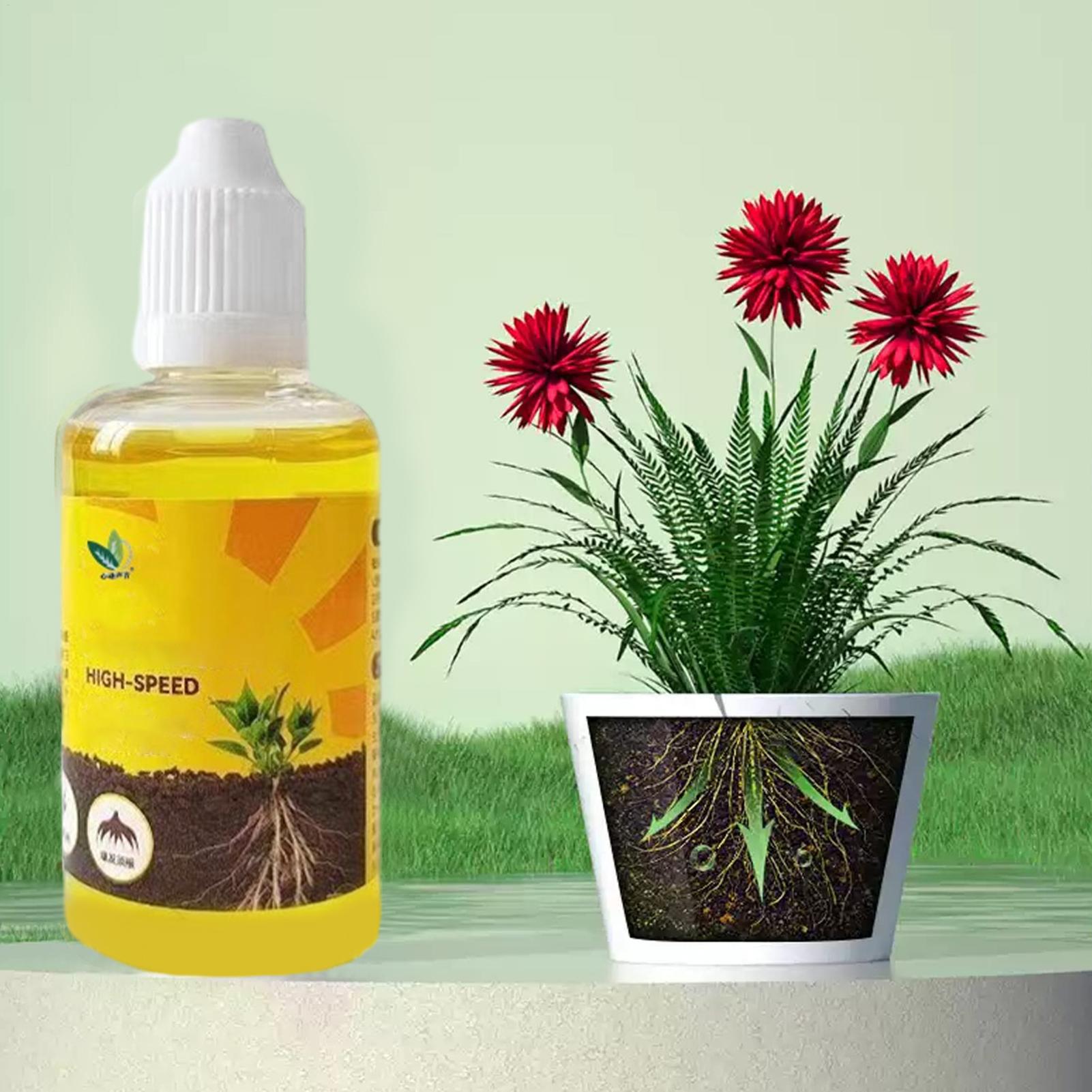 Plant Rapid Rooting Solution 5 - Root Stimulator Liquid 评论和价格