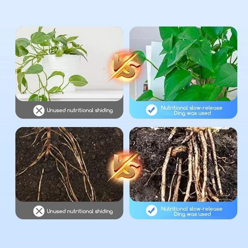 2bags Rooting Hormone Powder U - Rooting Hormone Powder 评论和价格