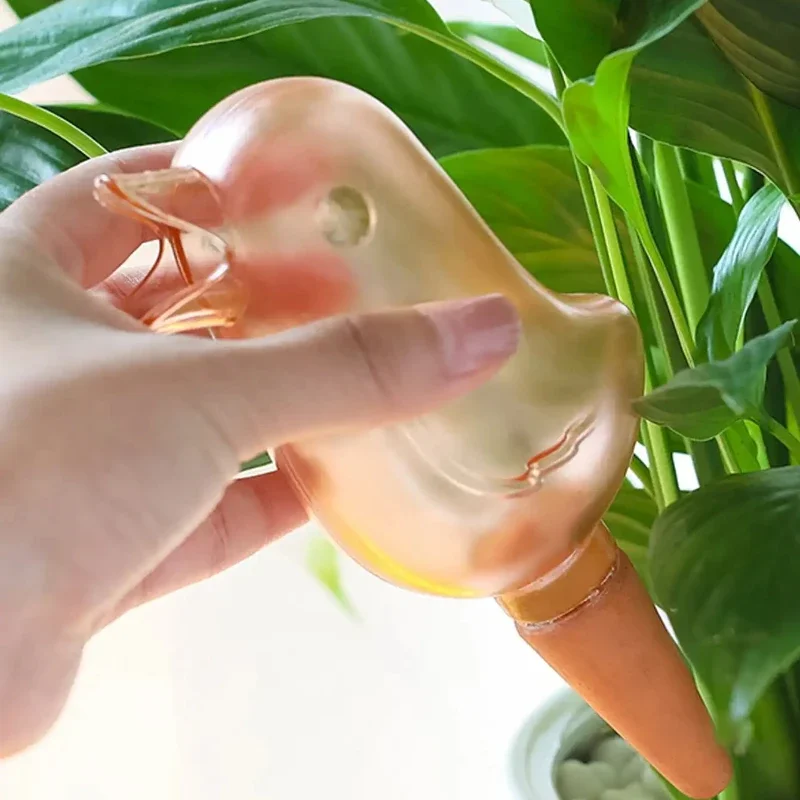 High quality automatic flower  - Self Watering Insert 评论和价格
