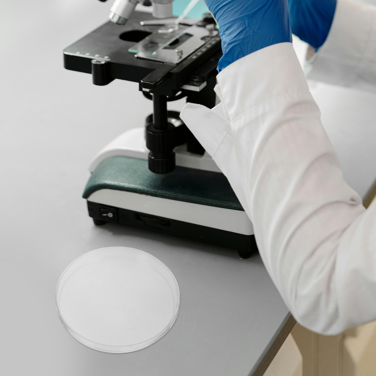 10Pcs Laboratory Petri Dishes  - Agar Tissue Culture 评论和价格