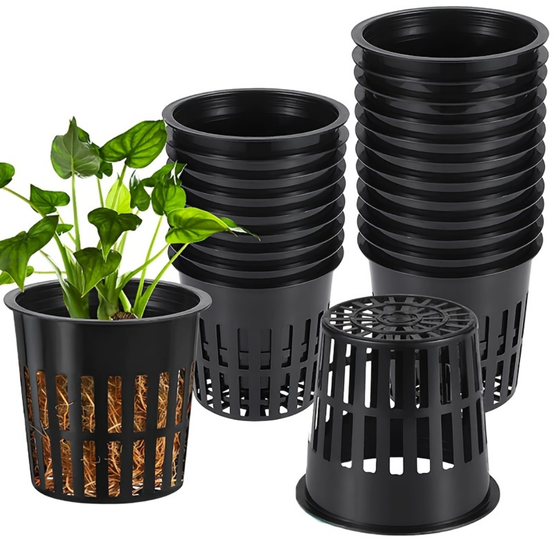 50Pcs Reusable Hydroponic Net  - Rooting Gel Clone 评论和价格