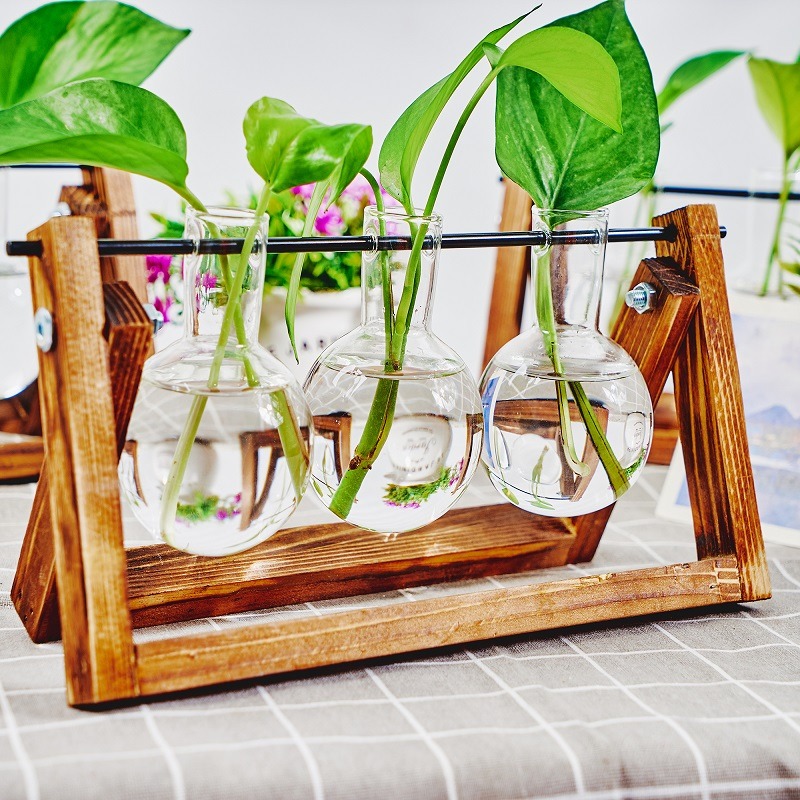 Tabletop Glass Planter Propaga - Propagation Station Vase 评论和价格