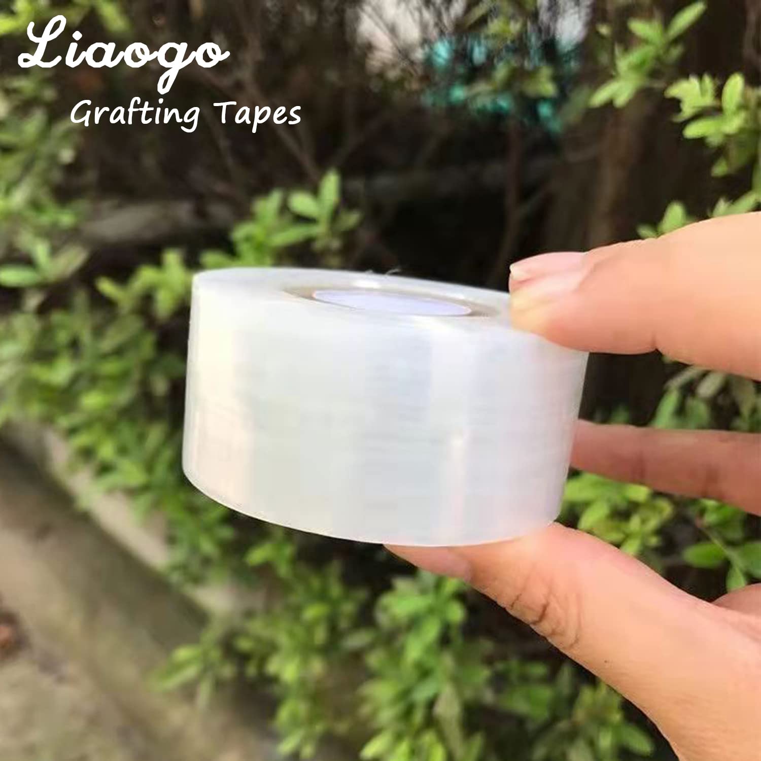 Eco-Friendly Biodegradable Gra - Rooting Hormone Powder 评论和价格