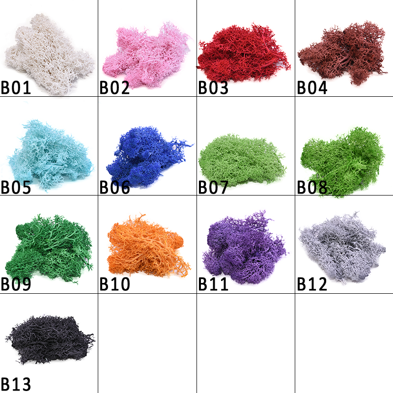 20-40g Artificial Natural Plan - Sphagnum Moss Dry 评论和价格